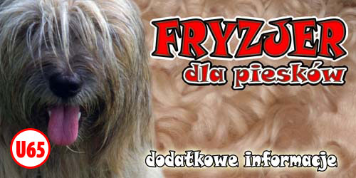 Psi fryzjer