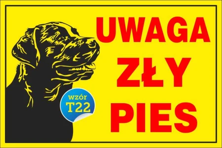 t22.jpg