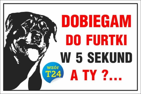 t24.jpg