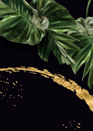 Przejdź do produktu Monstera Plakat Plakaty do ramki B2 70x50cm