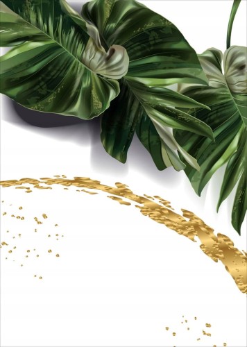 Przejdź do produktu Monstera Plakat Plakaty do ramki B2 70x50cm