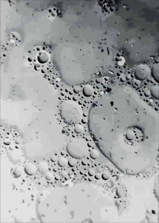 PL47.jpg