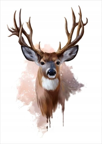 Przejdź do produktu Jeleń Las Plakat Plakaty B2 70x50cm Papier200