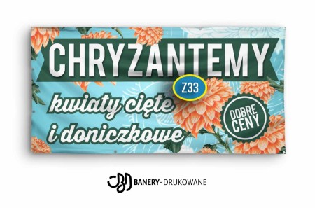 Chryzantemy-Z33.jpg