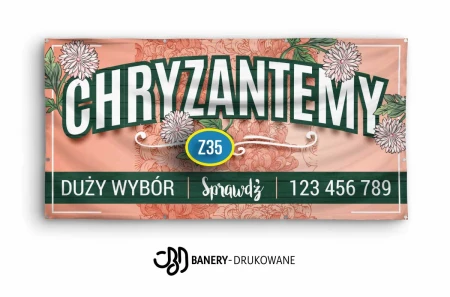 Chryzantemy-Z35.jpg