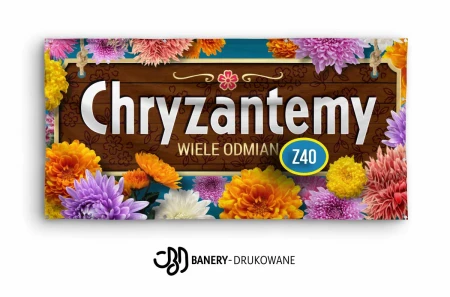 Chryzantemy-Z40.jpg