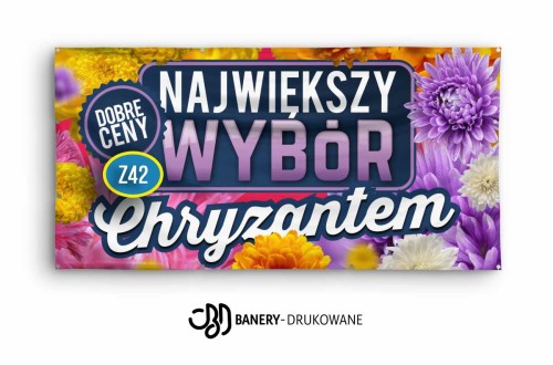 Przejdź do produktu Baner Reklamowy Największy Wybór Chryzantem 