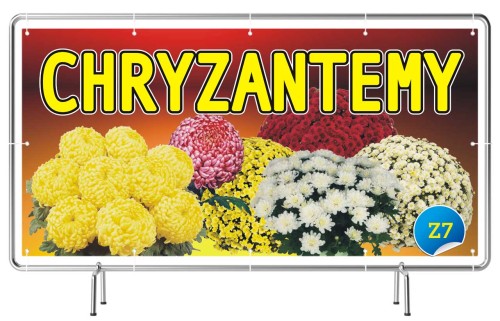 Przejdź do produktu Baner Reklamowy Chryzantemy 