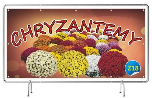 Przejdź do produktu Baner Reklamowy Sprzedaż Chryzantemy Sprzedaż Chryzantem
