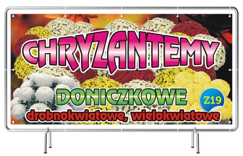 Przejdź do produktu Baner Reklamowy Chryzantemy Doniczkowe Drobnokwiatowe Wielokwiatowe