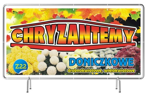 Przejdź do produktu Baner Reklamowy Chryzantemy Doniczkowe Sprzedaż Wielokwiatowe Drobnowkiatowe