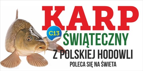 Przejdź do produktu Baner Reklamowy Karp Świąteczny Sprzedaż 