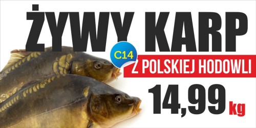 Przejdź do produktu Baner Reklamowy  Żwywy Karp Z Polskiej Chodowli